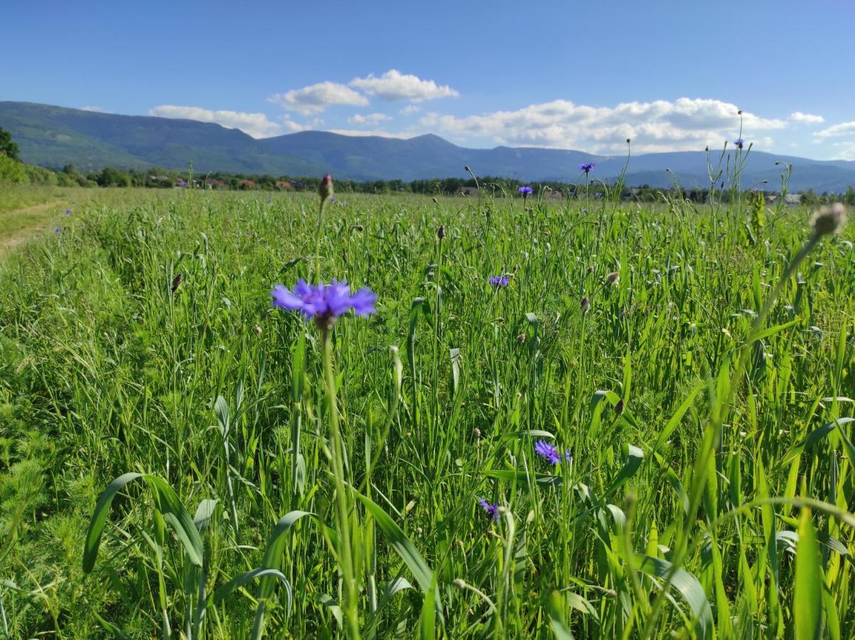 Willa Kolorowa Chata 6 Km Od Karpacza Mysłakowice Εξωτερικό φωτογραφία