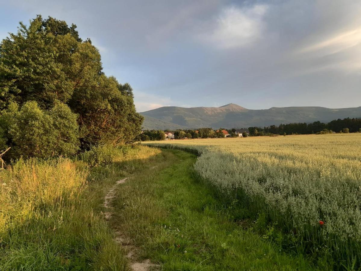 Willa Kolorowa Chata 6 Km Od Karpacza Mysłakowice Εξωτερικό φωτογραφία